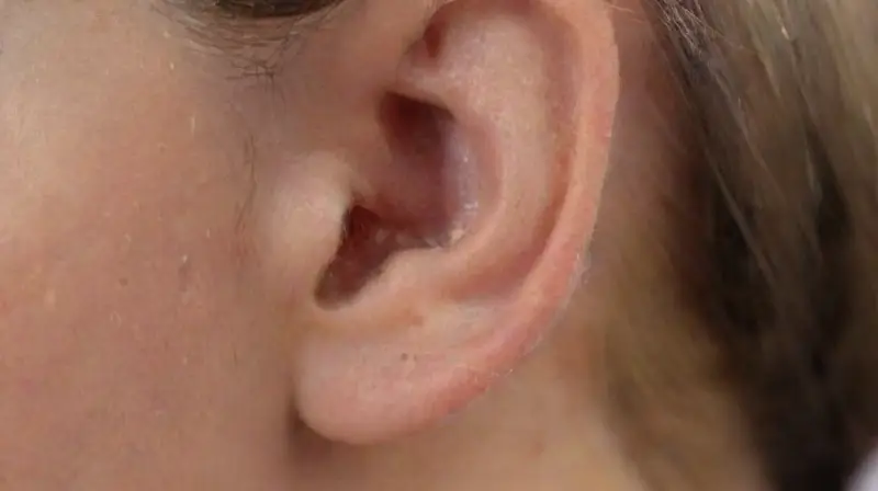 Close-up of womans ear with jewelry