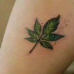 Eco-friendly tattoo studio with detailed fresh ink