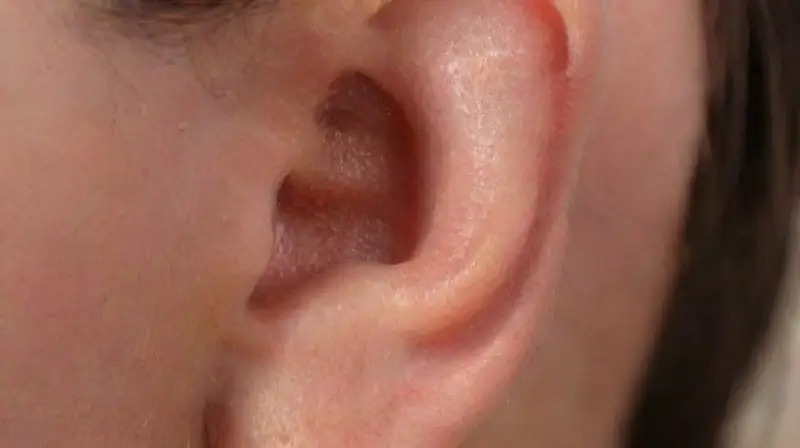 Close-up of earlobe with silver hoop