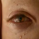 Close-up of a natural